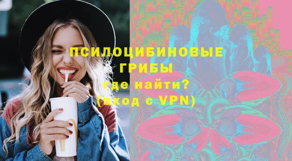 соль ск Михайлов