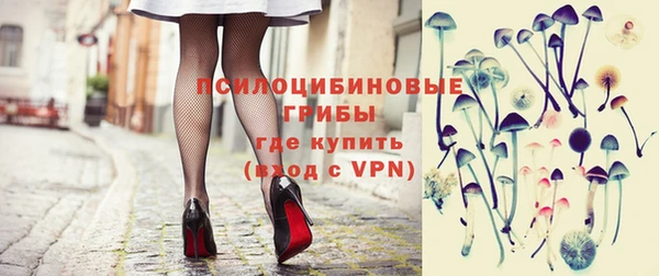 соль ск Михайлов