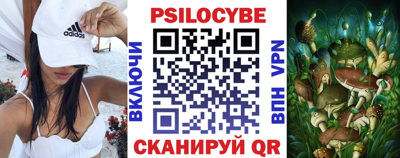 где найти наркотики  Южа  Галлюциногенные грибы Psilocybe 